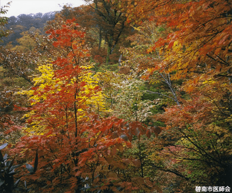 雨飾山紅葉