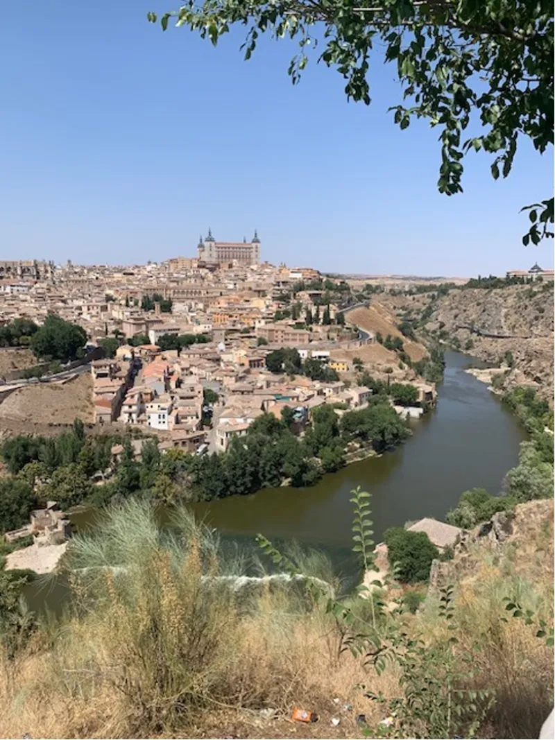 画像をクリックして全体を表示